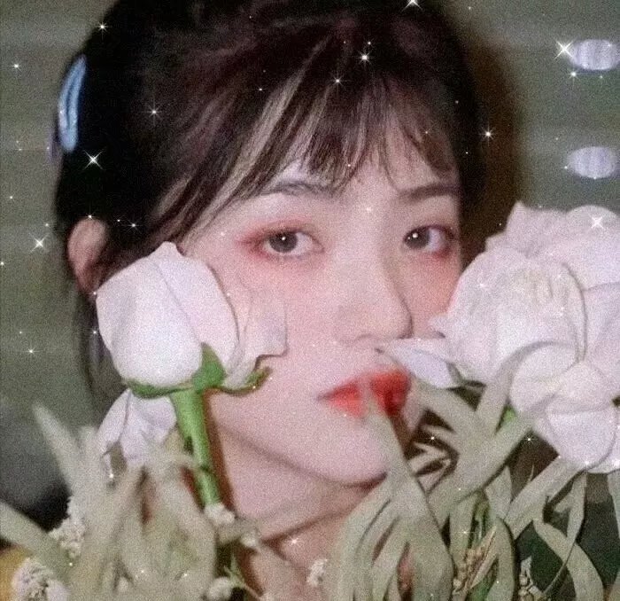 丛林精神